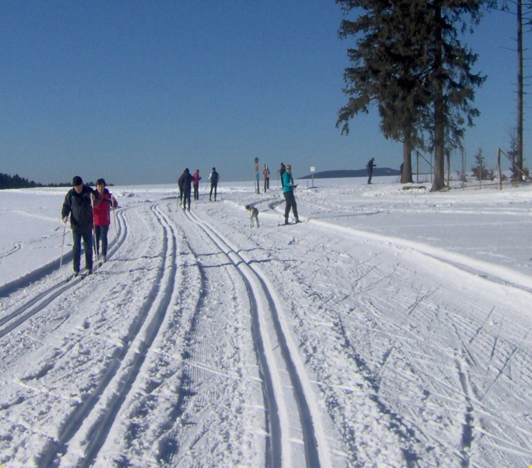 Wintersport Harz