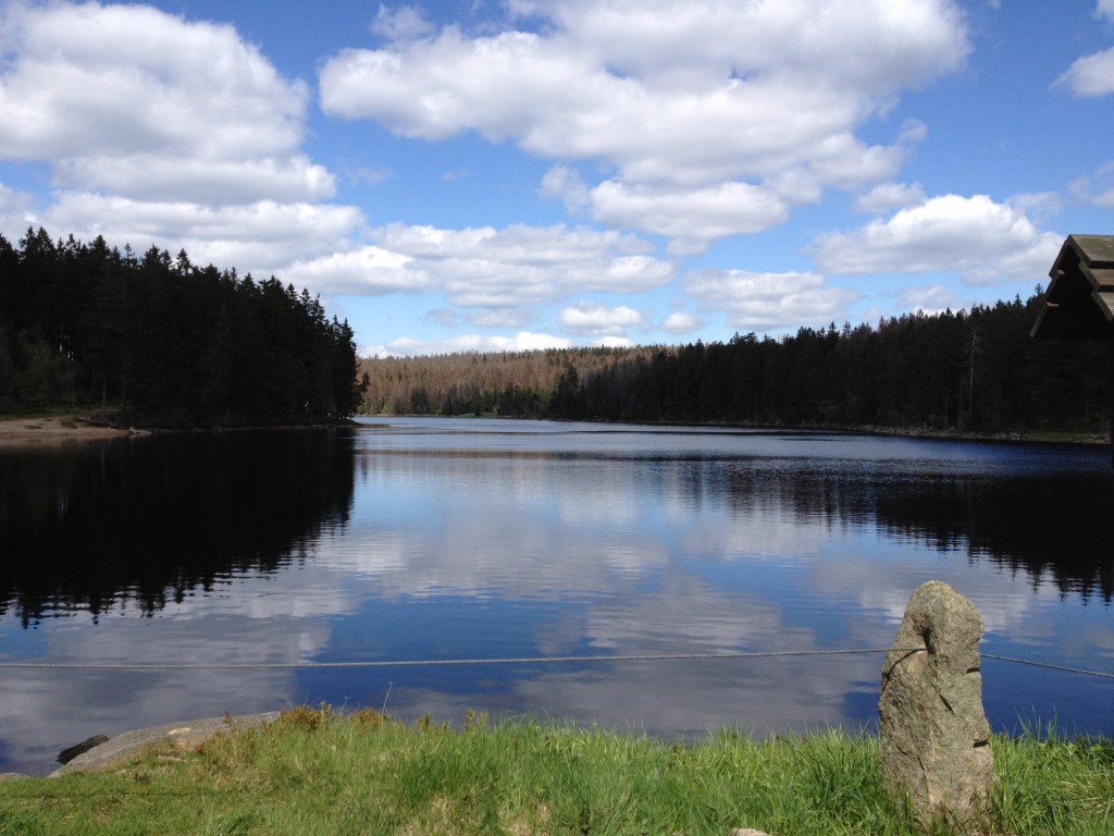 de Harz